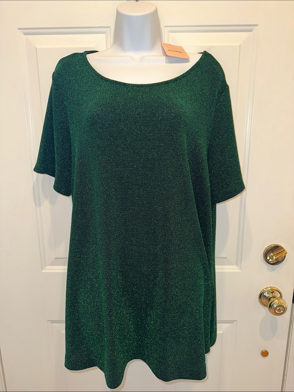 BloomChic Glittery Scoop-Neck Short Sleeve Tunic in Emerald Green NWT